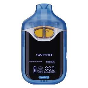 boutiq switch 2g v4