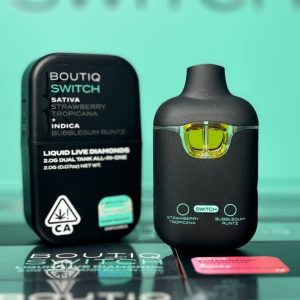 boutiq v2 disposable