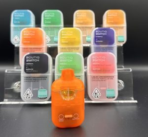 boutiq switch 2g