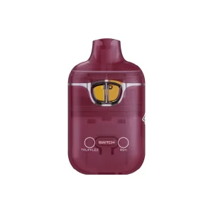 boutiq 2 gram disposable